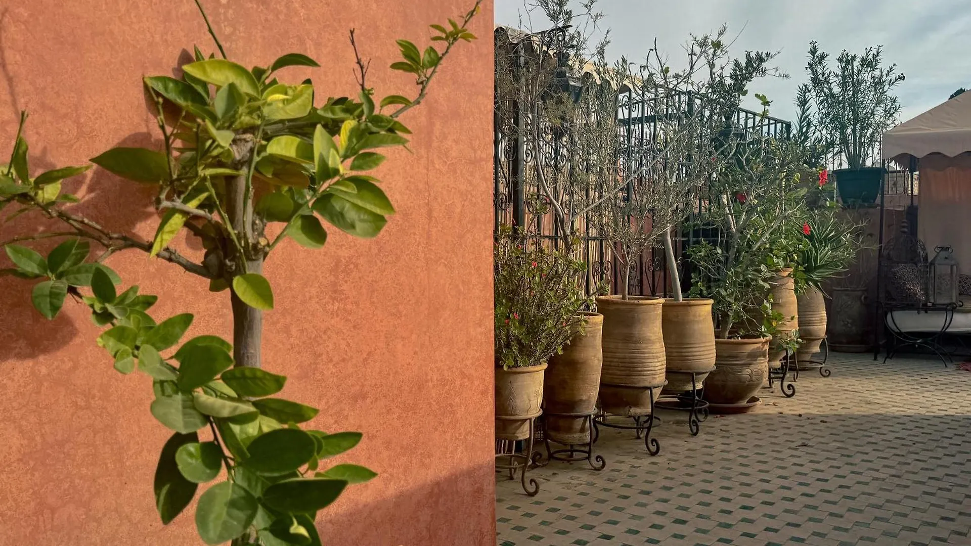 Riad Lapis-Lazuli Marrakesh Bed & Breakfast
