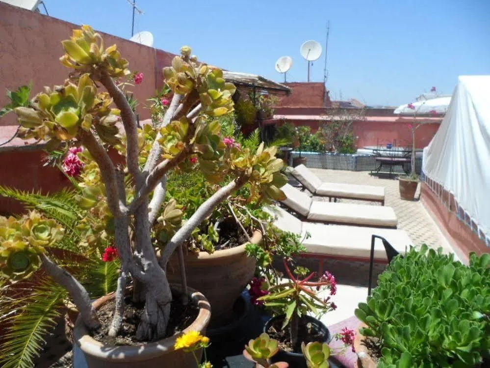 Riad Lapis-Lazuli Bed and Breakfast Marrakesh